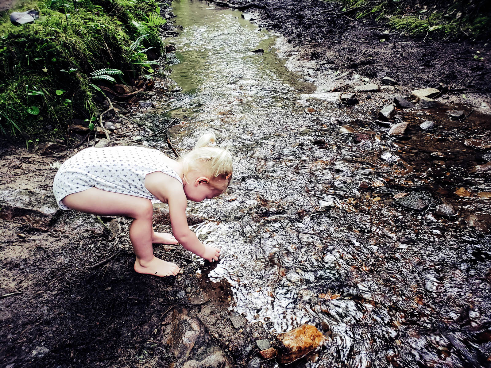 Playing in the stream on our hike